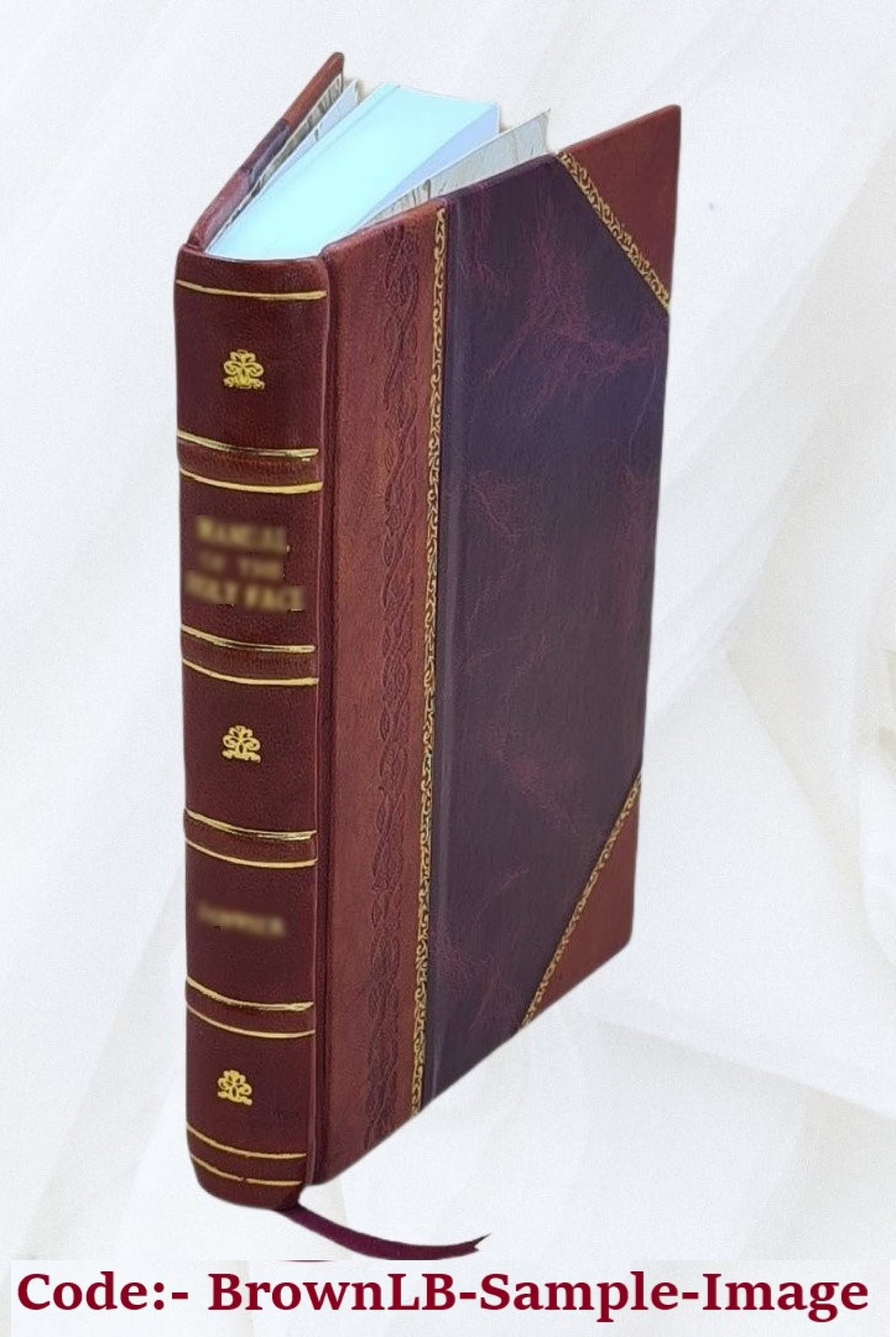 Leather Bound Bicycle Tour Book H2600