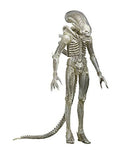 1/4 Scale Translucent Action Figure C472368