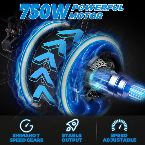 26 × 4" Fat Tire Electric Bike 750 W 7 Speeds Black Removable Lithium Battery 48 V 12.5 Ah Pedal Assist G32914