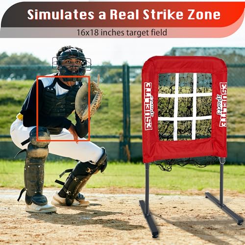 9 Hole Pitching Net with Strike Zone O1959