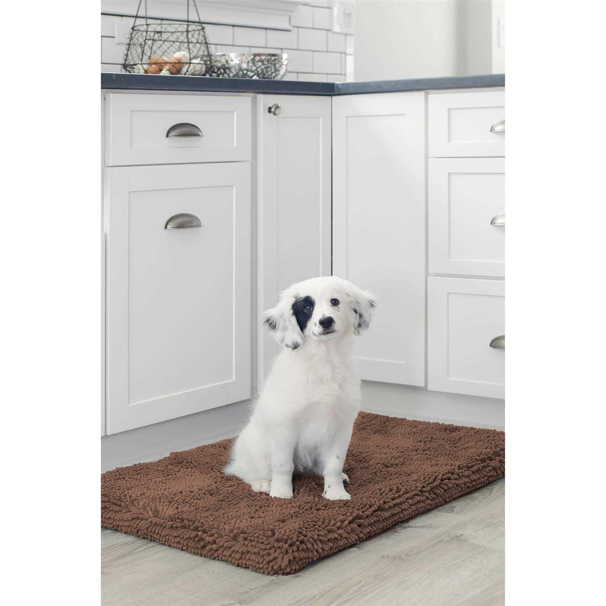 Dirty Dog Cushion Dog Pad N1921