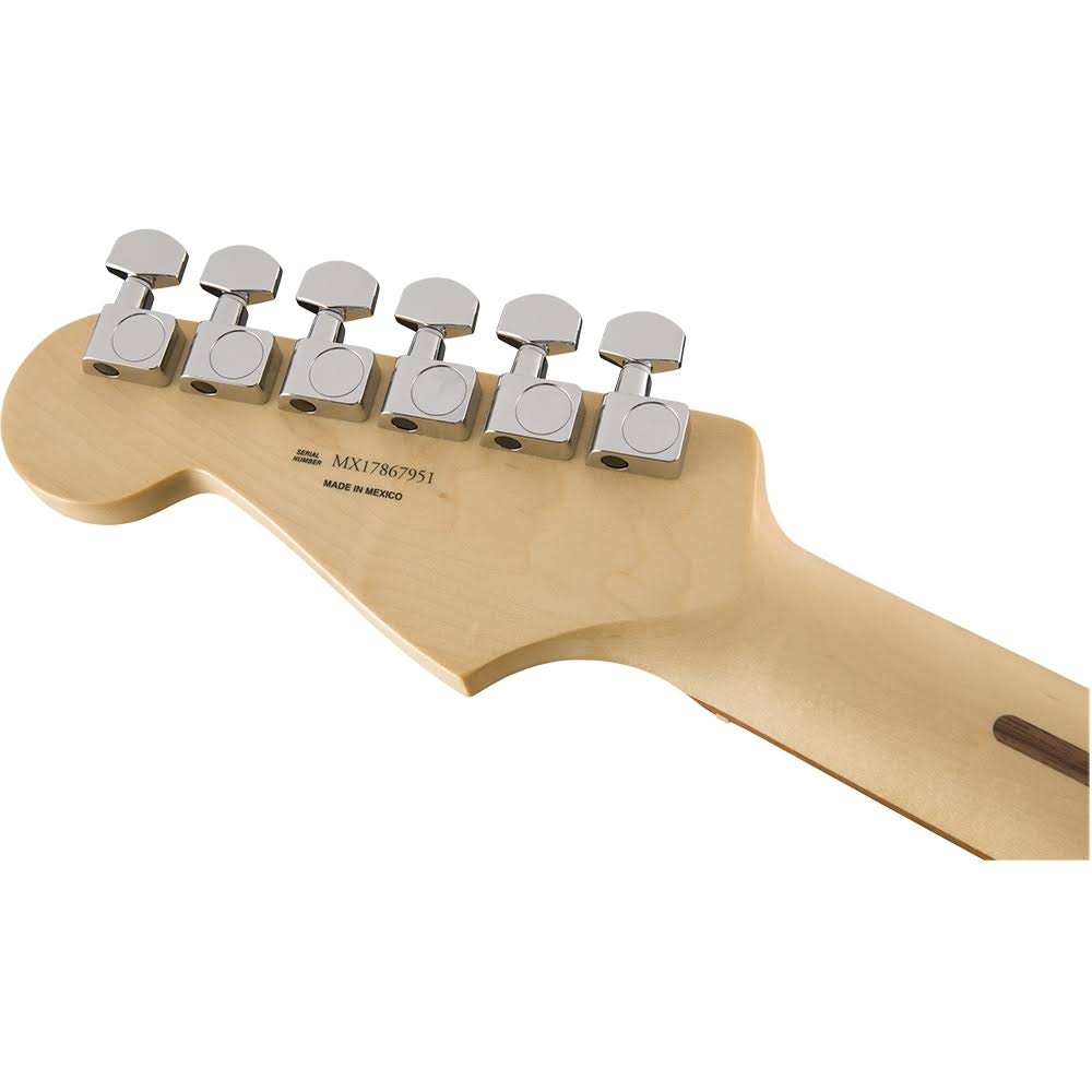 Black Pau Ferro Fingerboard Stratocaster F300927