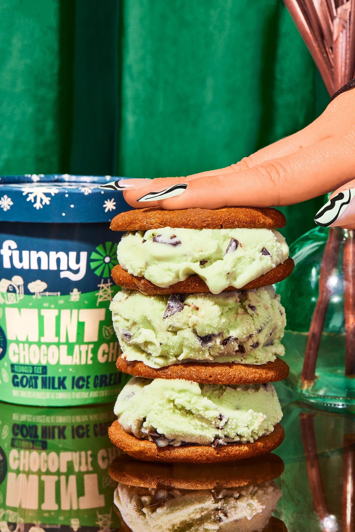 14 oz Mint Chocolate Chip Ice Cream 8 Pack N386851