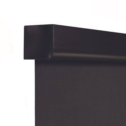 Black Cordless Cassette Roller Shade H184