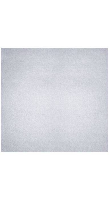 Silver Metallic Drop-In Envelope Liners 50/Box U53355