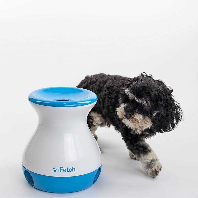 Frenzy Dog Toy K4915