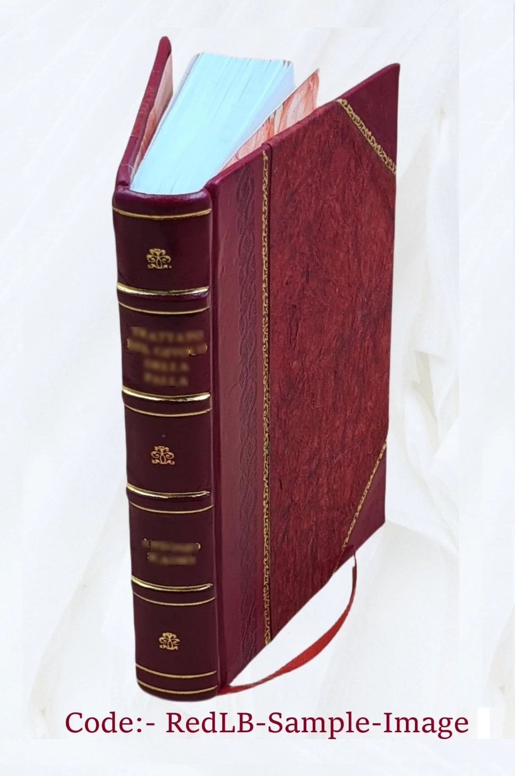 Adventure and Sight-Seeing in Tropical Mexico U1781