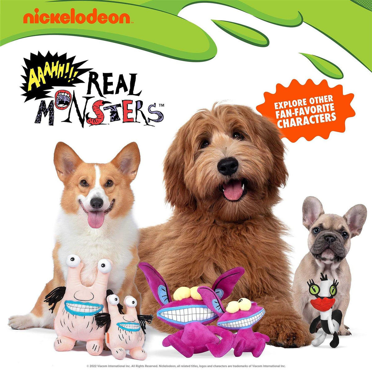 6 Plush Toy for Dogs X504566