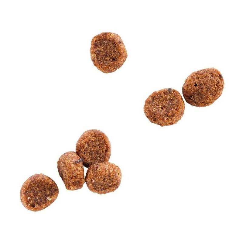 Grain Free Salmon Formula Dry Cat Food X885