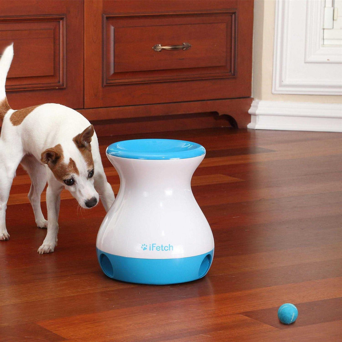 Frenzy Dog Toy K4915