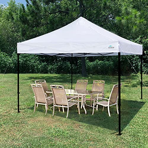 10' x 10' Replacement Canopy Top T605001