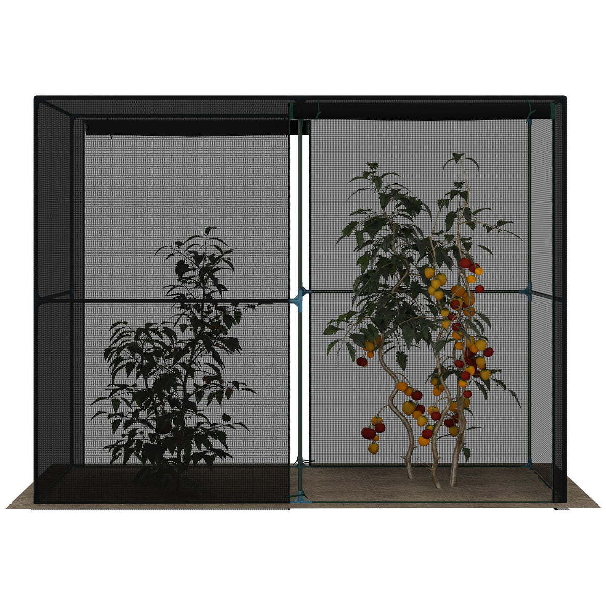 Outdoor Walk-in Crop Cage with HDPE Cover G6872