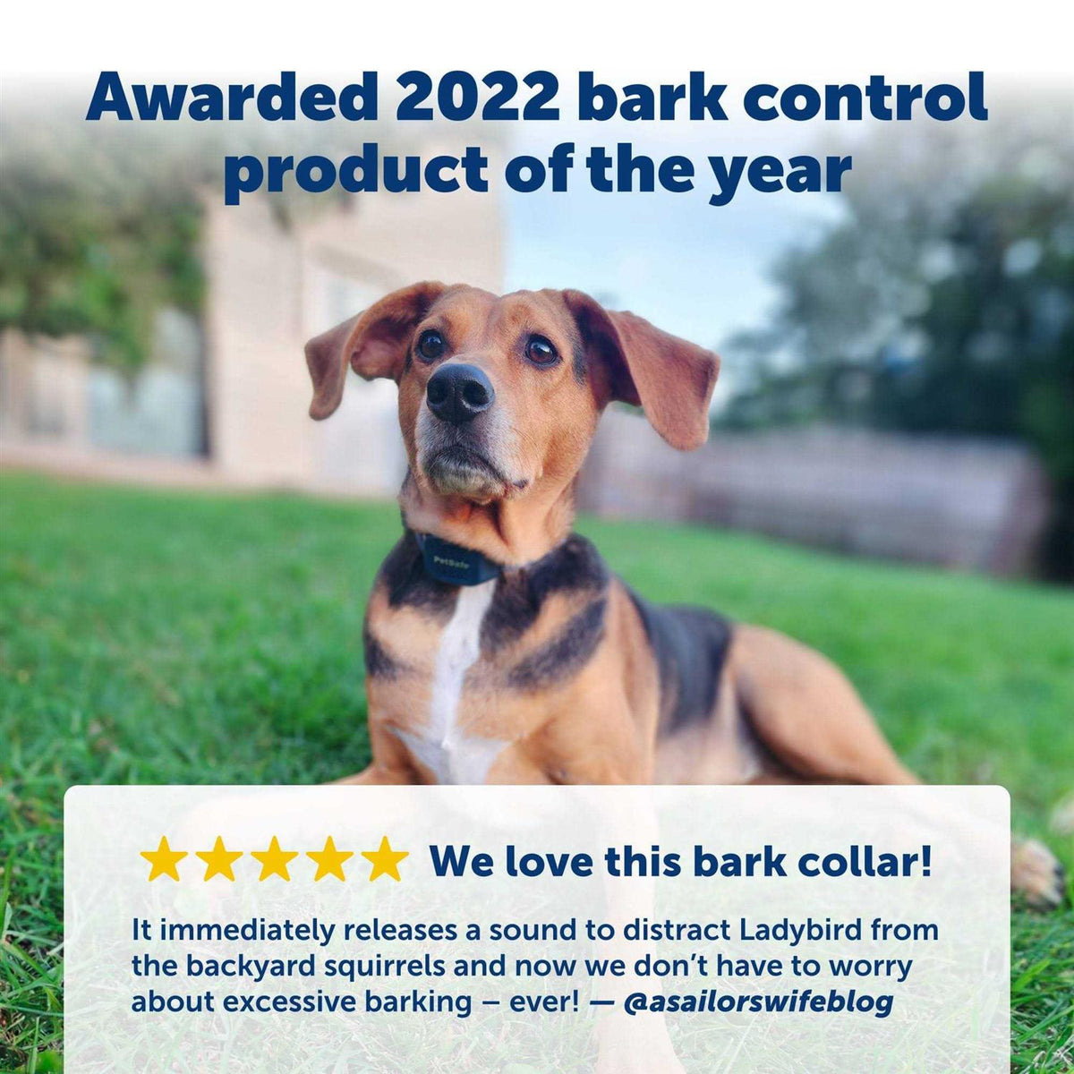 Audible Bark Dog Collar B152043