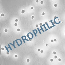 13mm 0.01 Micron Polycarbonate Membrane Filters 100/pk T77402