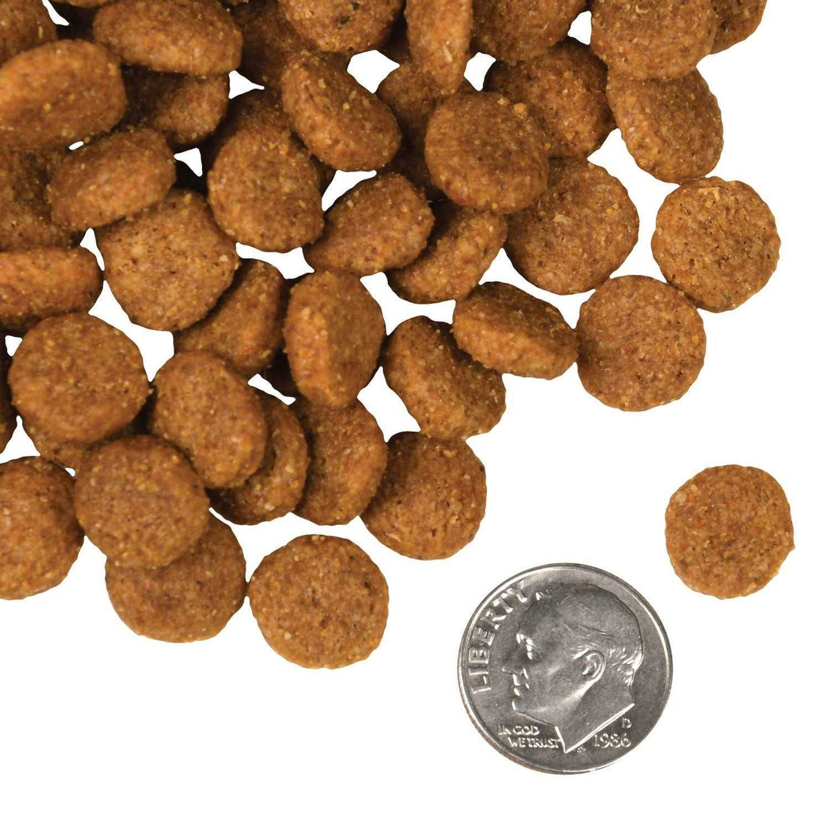 Salmon Dog Food Y1791
