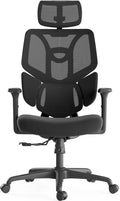 Black Ergonomic Mesh Office Chair X211