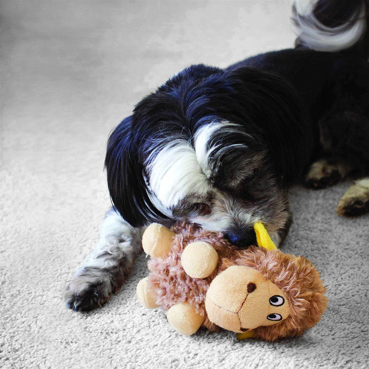 Pig Dog Toy N4888