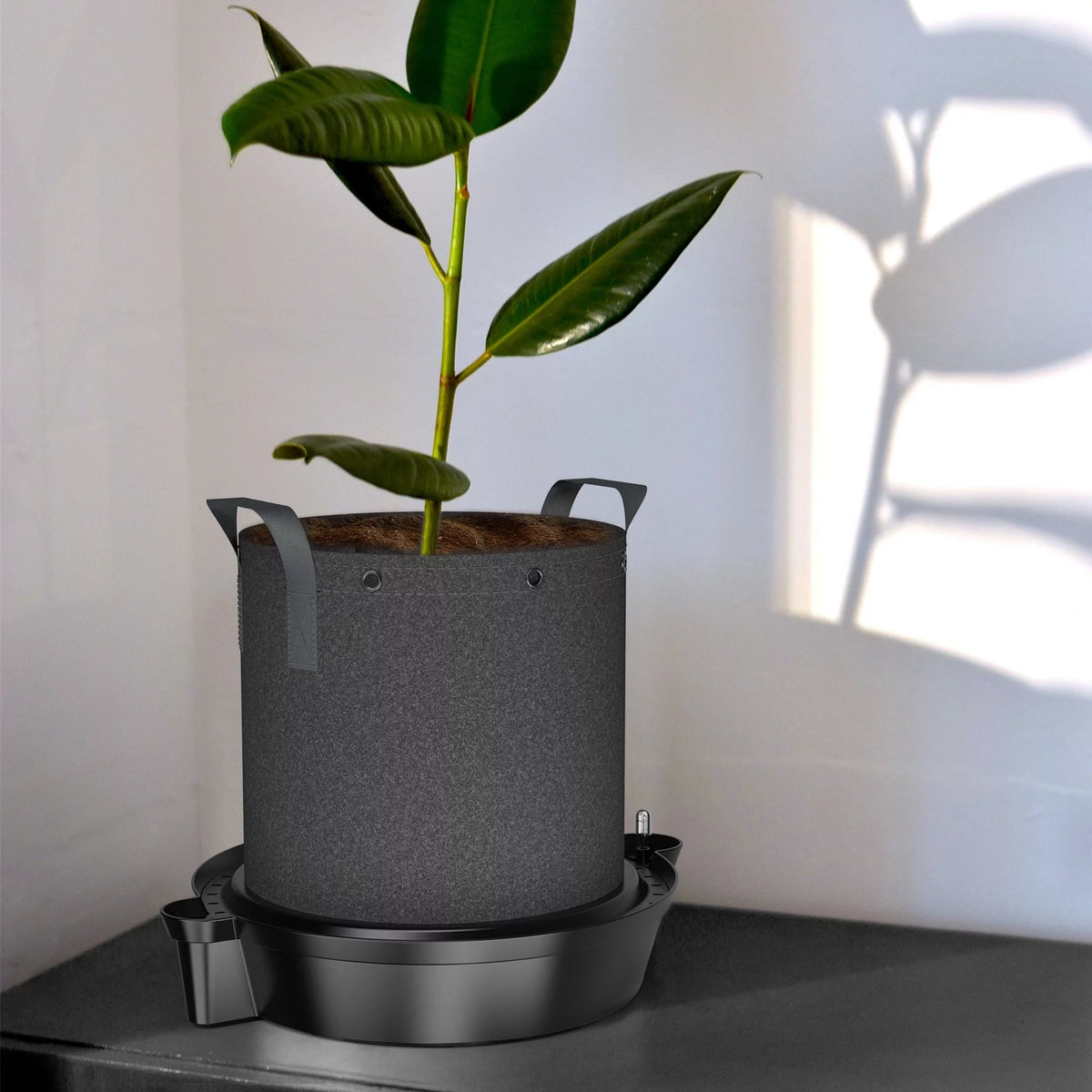 4-Pack Self-Watering Fabric Pot Base XL with Reservoir Meter N678