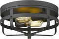 Industrial Close to Ceiling Light Fixture, Metal Cage Flush Mount Ceiling Light 13 Inch, 2-Light, Matte Black Finish O9581