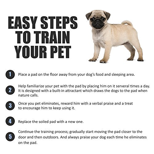 XXL Leak-Proof 30"x36" 40CT Dog Pee Pads V558