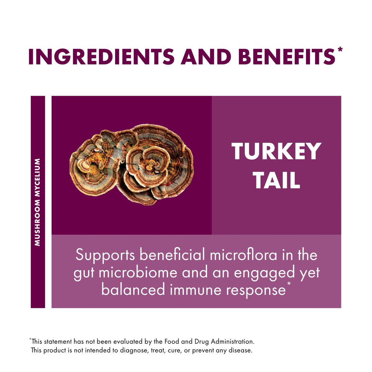 Turkey Tail Mushroom Supplement 60 Capsules Z5314