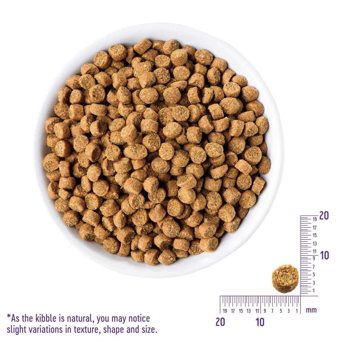 Grain-Free Indoor Salmon & Herring Meal Dry Cat Food Y3663