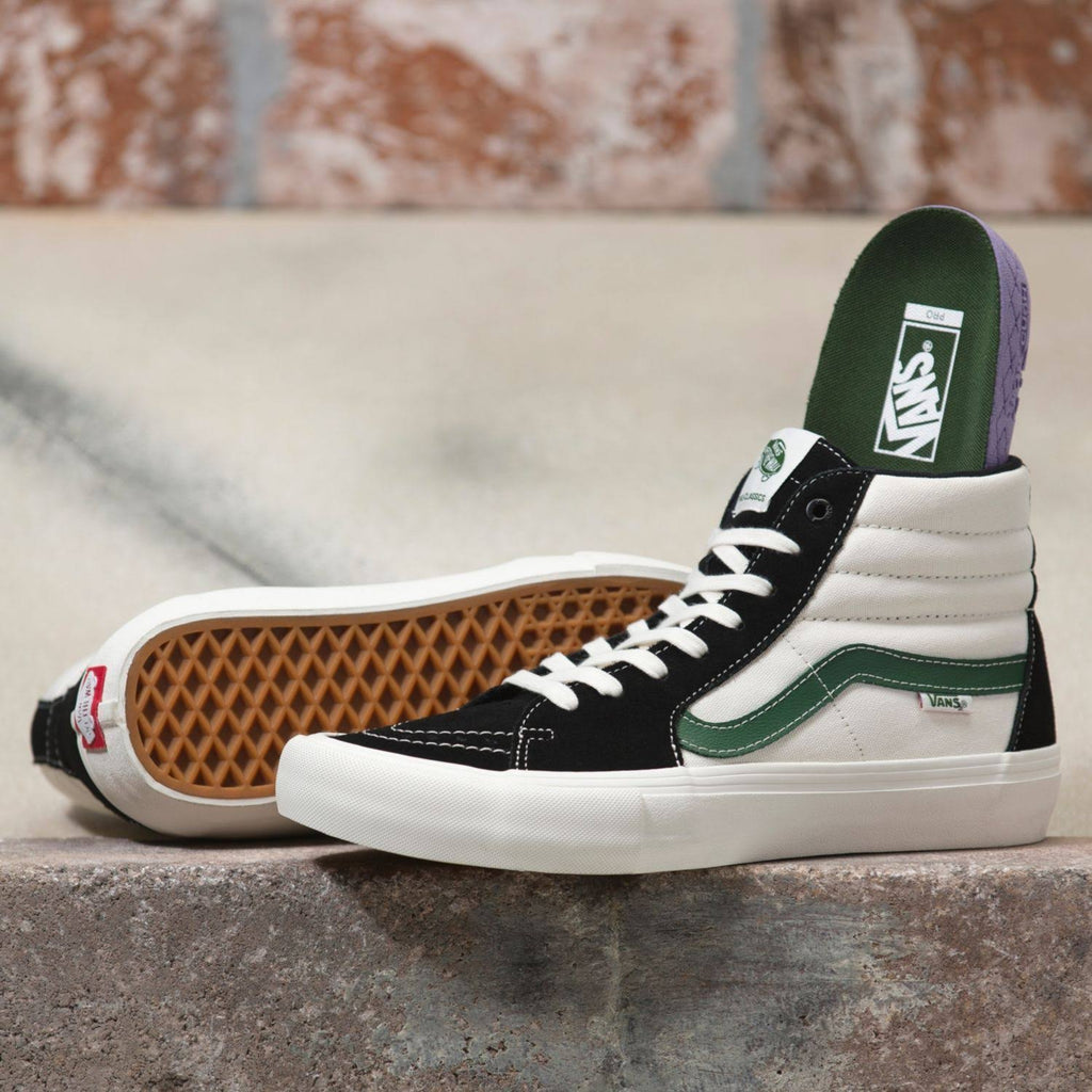 Sk8-Hi Pro Black - Alpine 9 C436