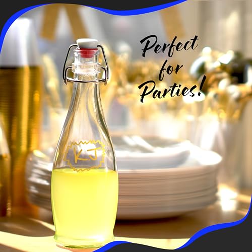 Set of 6 17 oz Glass Bottle Set with Airtight Swing Top Stoppers W1874