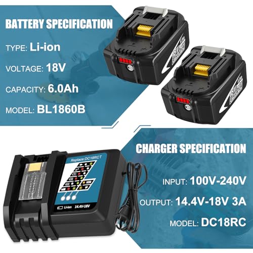 2 Packs 6.0Ah Li-ion Battery and Charger for 18V E8950