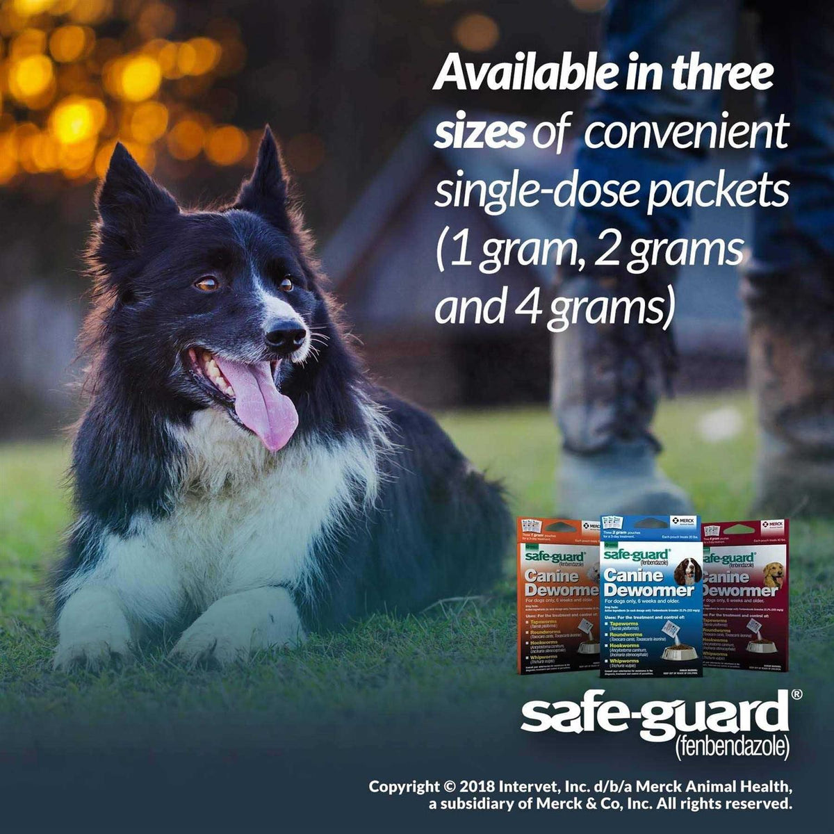 Canine Dewormer I189