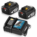 2 Packs 6.0Ah Li-ion Battery and Charger for 18V E8950