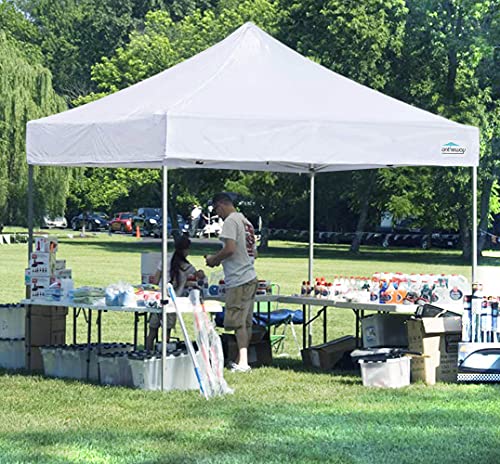 10' x 10' Replacement Canopy Top T605001