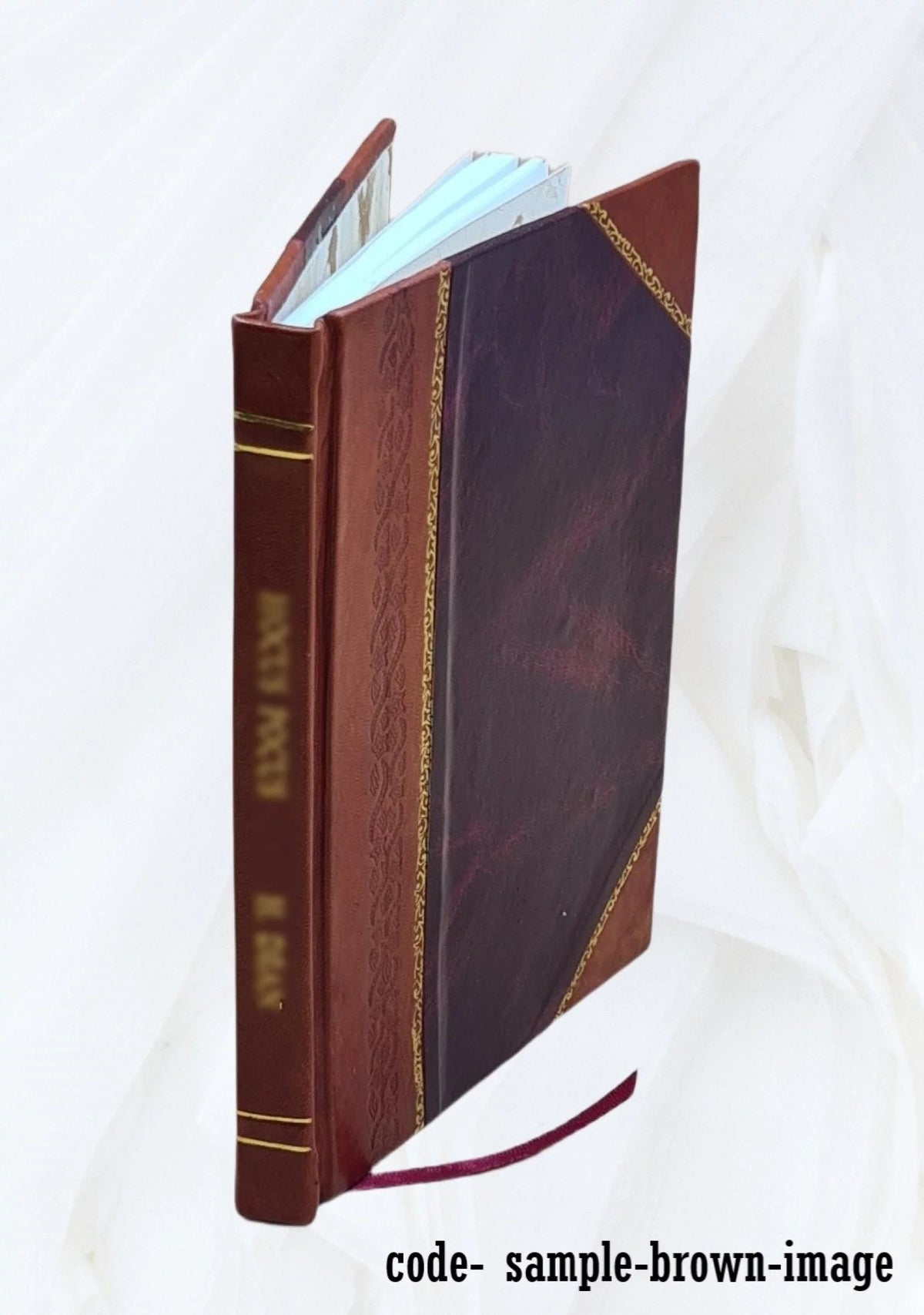 1893 Cookbook Leather Bound T172