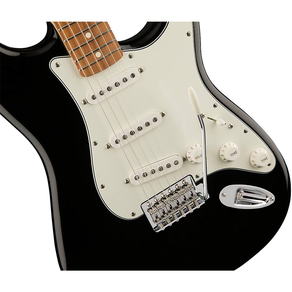 Black Pau Ferro Fingerboard Stratocaster F300927
