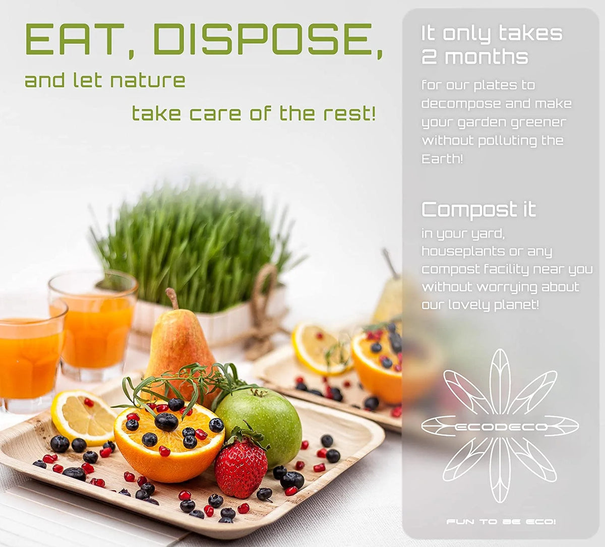 100 Palm Leaf 10 inch Disposable Plates U959