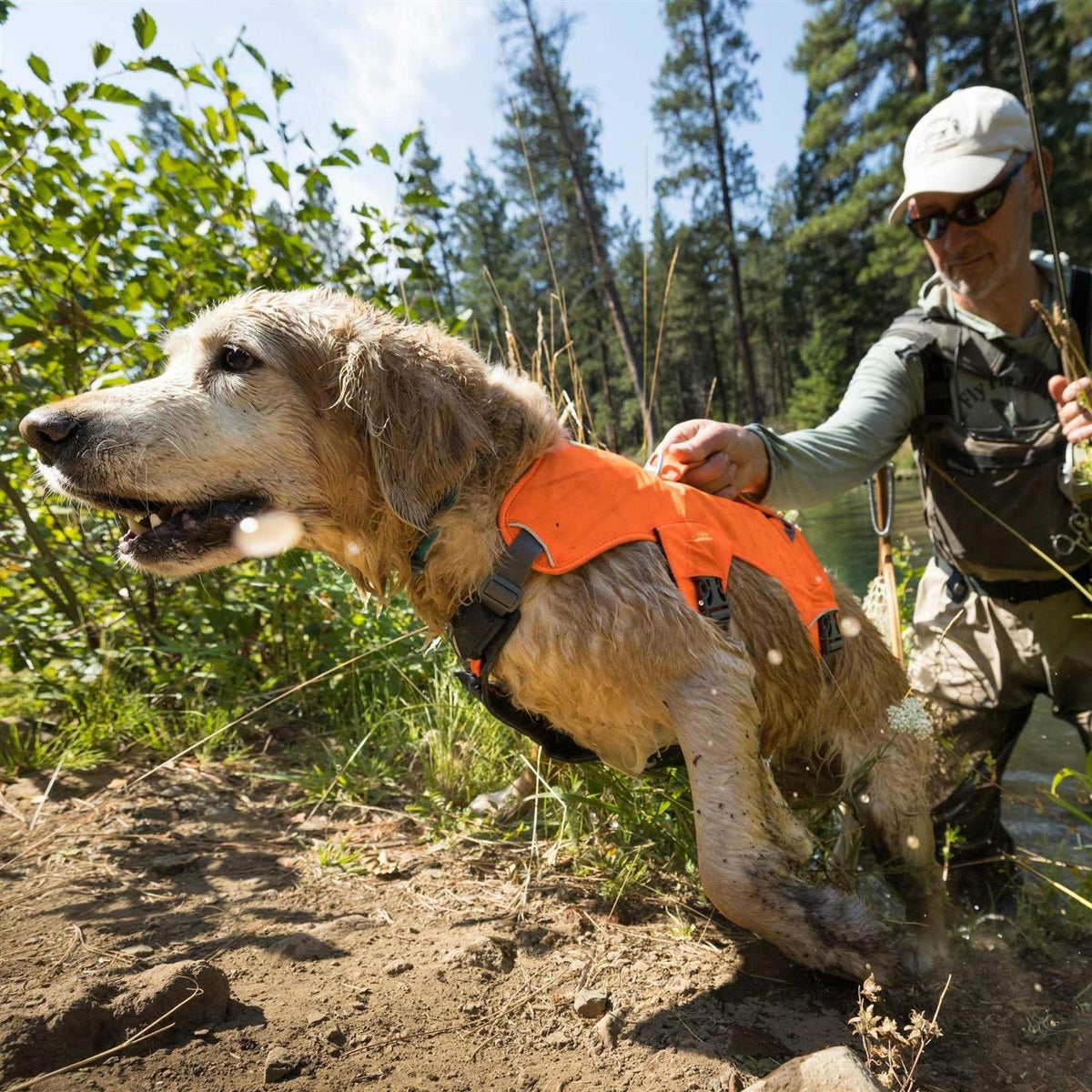 Dog Harness H339