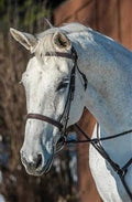 Havana Bridle W576636